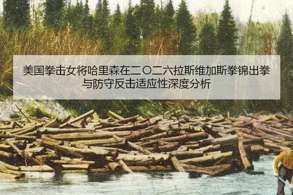 美国拳击女将哈里森在二〇二六拉斯维加斯拳锦出拳与防守反击适应性深度分析